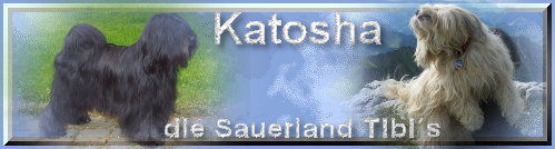 katosha-1.9